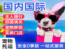 五台山航空快递国际宠物托运 【国